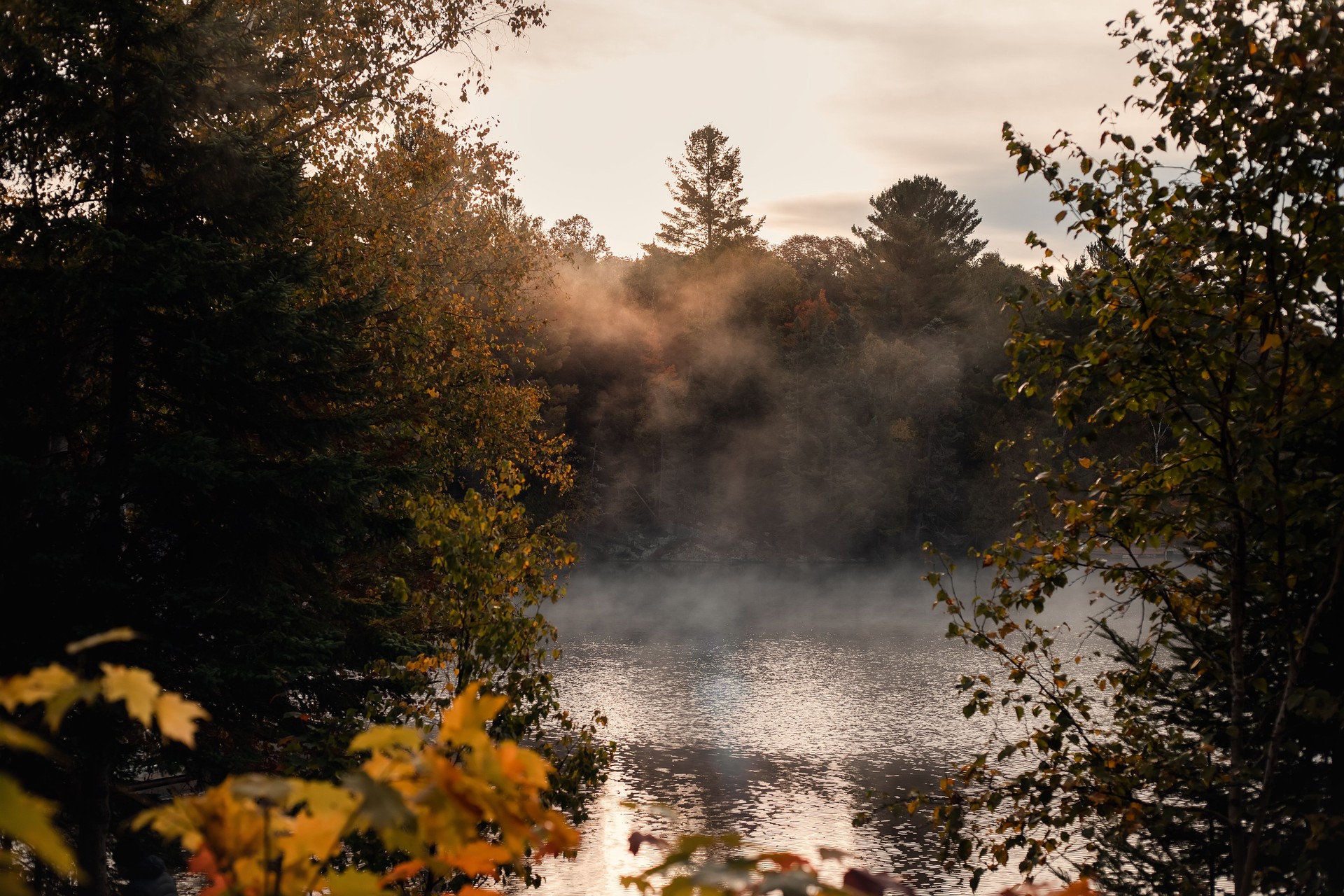 Autumn landscape with foggy lake in the forest at sunrise.