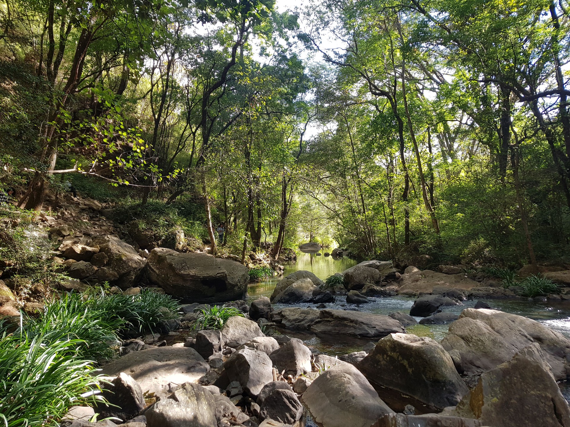 Relaxing view of the river with rocks, trees and vegetation, Salto del Nogal